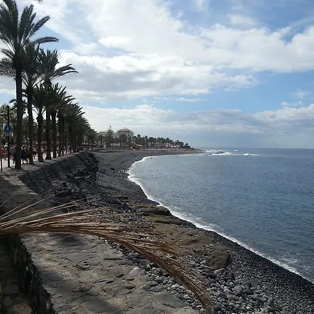 Apartment Playa Veronicas Playa de las Americas (Tenerife)